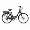 Cruiser Electric Bike