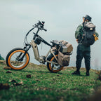 VTUVIA SX20 Folding Ebike